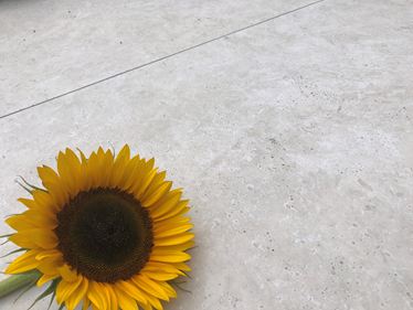Siena platen met travertinlook en zonnebloem