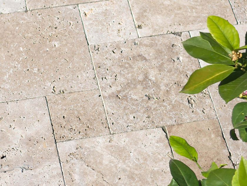 Travertinplaat Medium close-up met planten