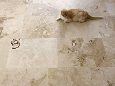 Klantenfoto: Tegels onyx met kat vanuit vogelperspectief